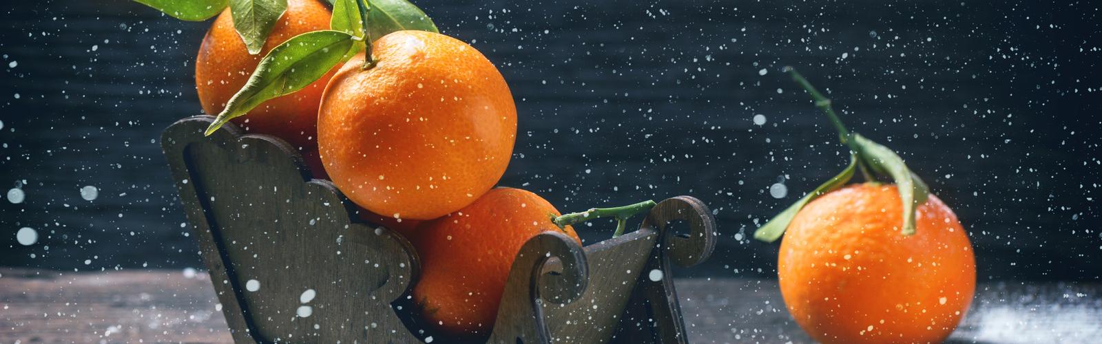 冬日暖陽 雙屏橘子與雪橇的視覺奇遇